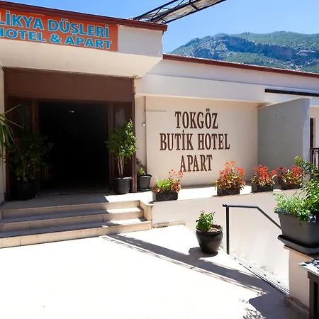 Tokgoz Butik Hotel&apartment 3* أولدينيس