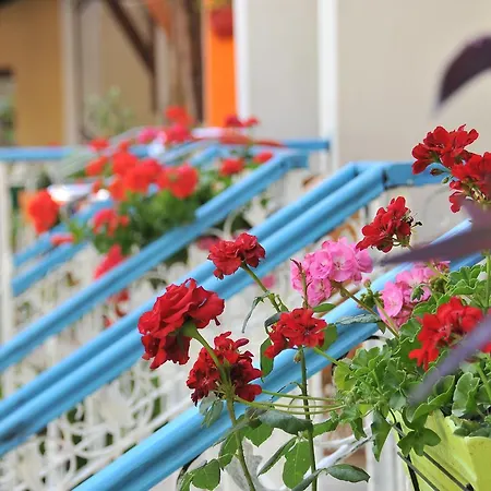 Tokgoz Butik Hotel&apartment אולודניץ