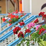 Tokgoz Butik Hotel&apartment Ölüdeniz