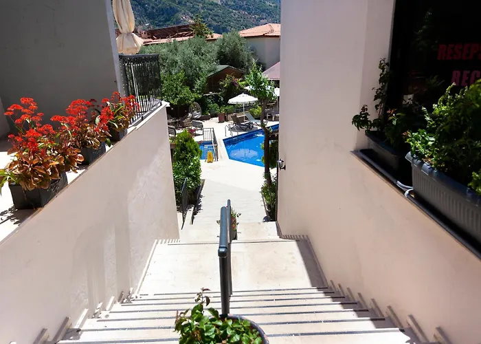 Tokgoz Butik Hotel&apartment מלון דירות 3*