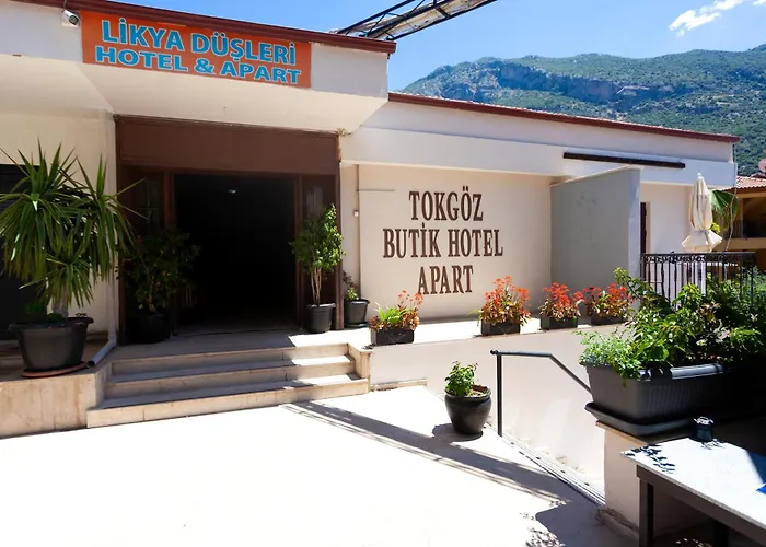 Tokgoz Butik Hotel&apartment 3* אולודניץ