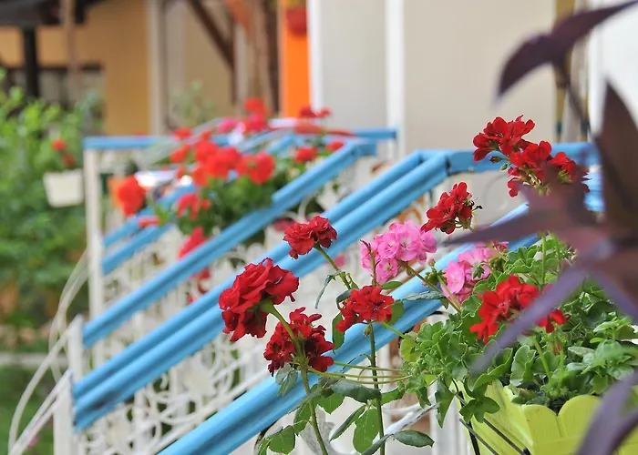 Tokgoz Butik Hotel&apartment אולודניץ